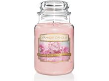 Yankee Candle Blush Bouquet vonná svíčka 623 g (1)